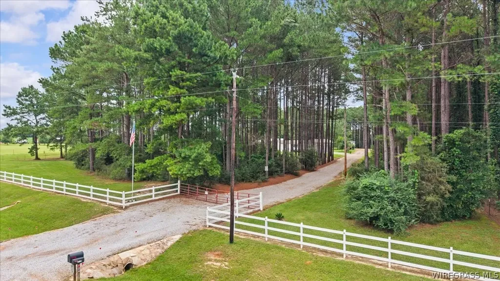 1972 County Road 430 Elba AL 36323
