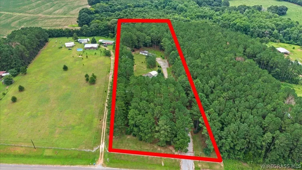 1972 County Road 430 Elba AL 36323
