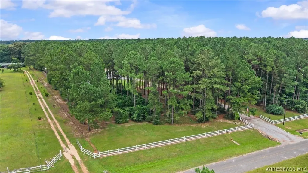 1972 County Road 430 Elba AL 36323