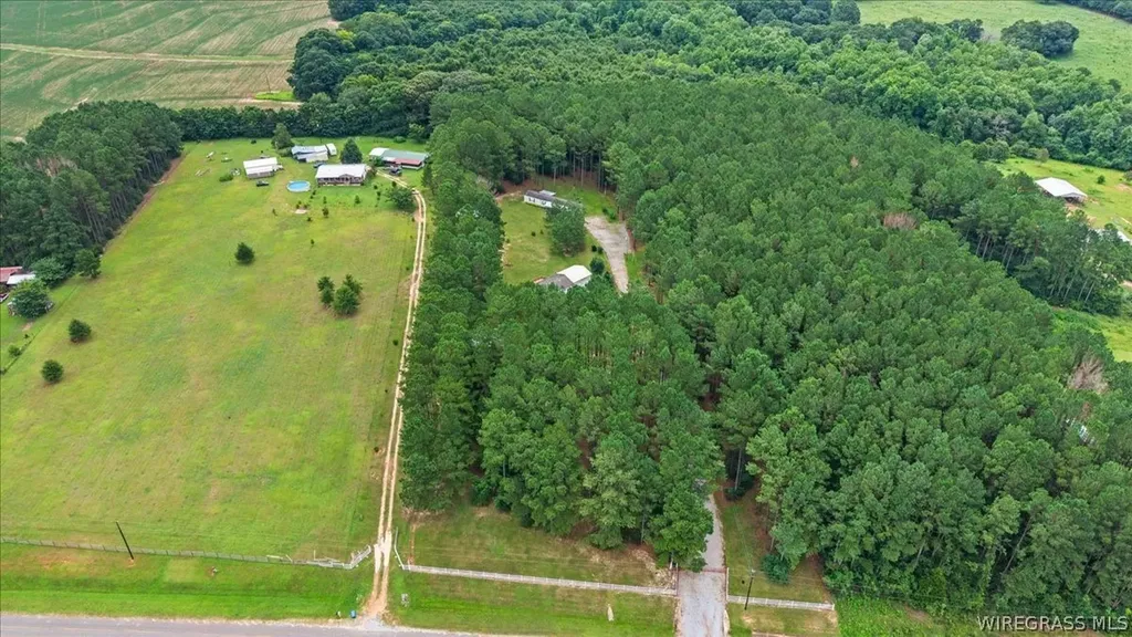 1972 County Road 430 Elba AL 36323
