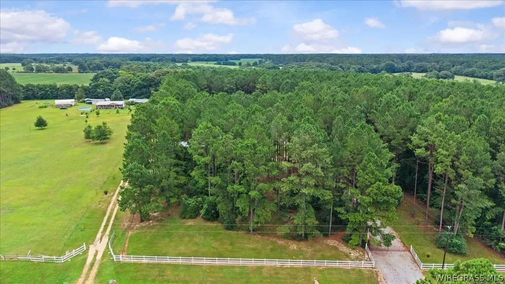 1972 County Road 430 Elba AL 36323