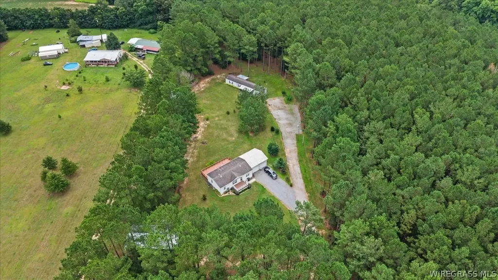 1972 County Road 430 Elba AL 36323