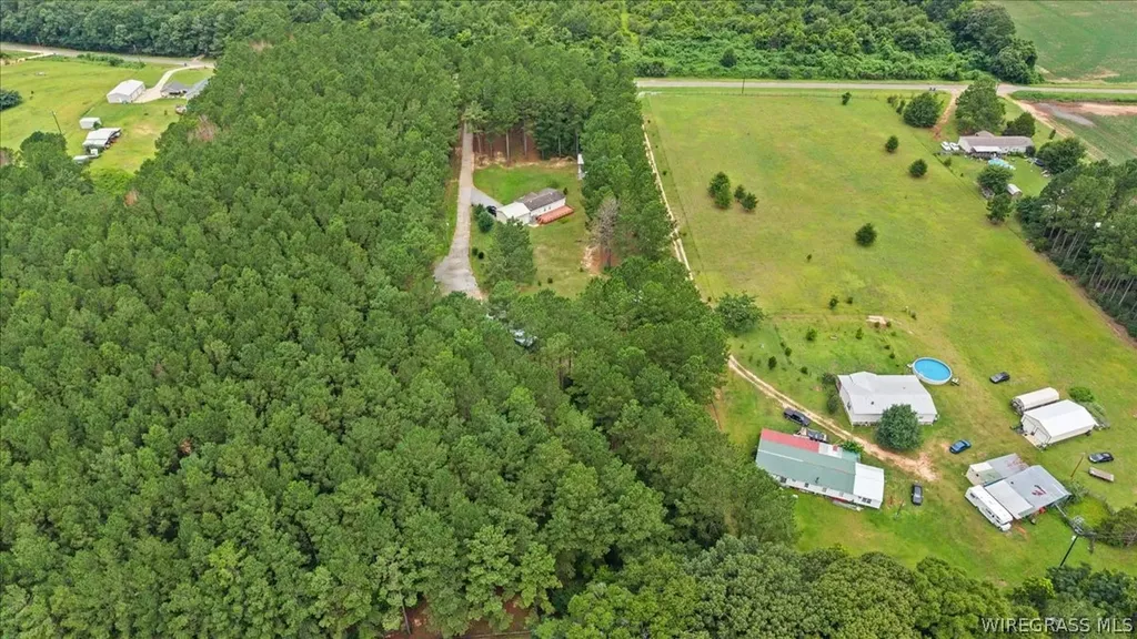 1972 County Road 430 Elba AL 36323