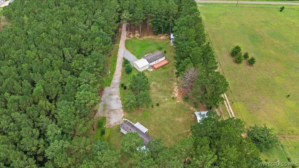 1972 County Road 430 Elba AL 36323