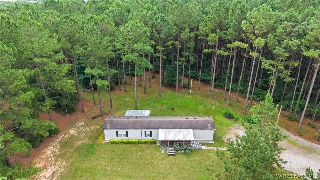 1972 County Road 430 Elba AL 36323