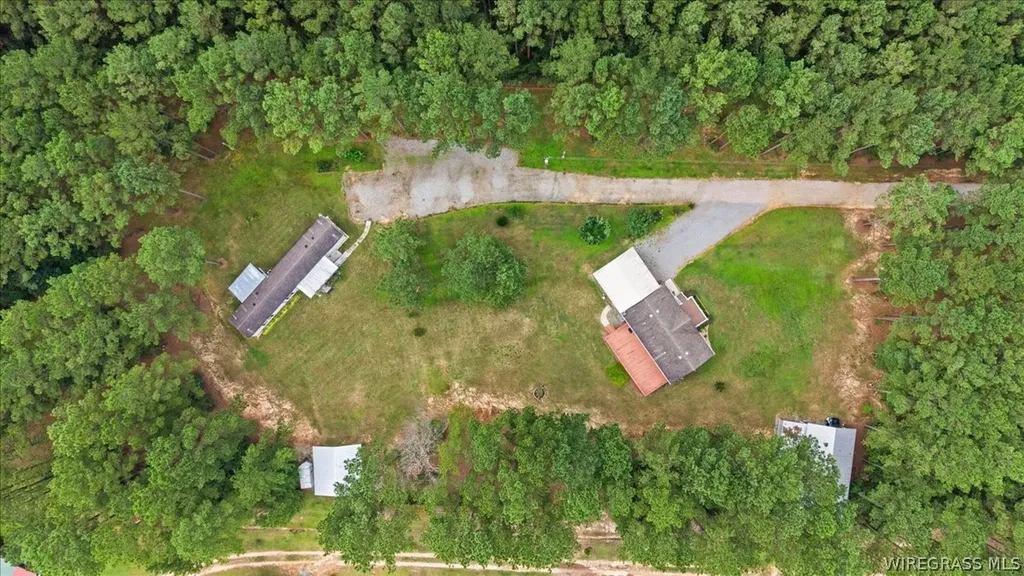 1972 County Road 430 Elba AL 36323