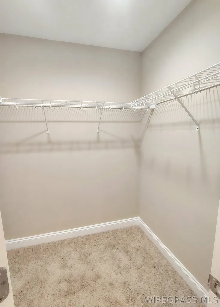 437 Wilshire Street Geneva AL 36340