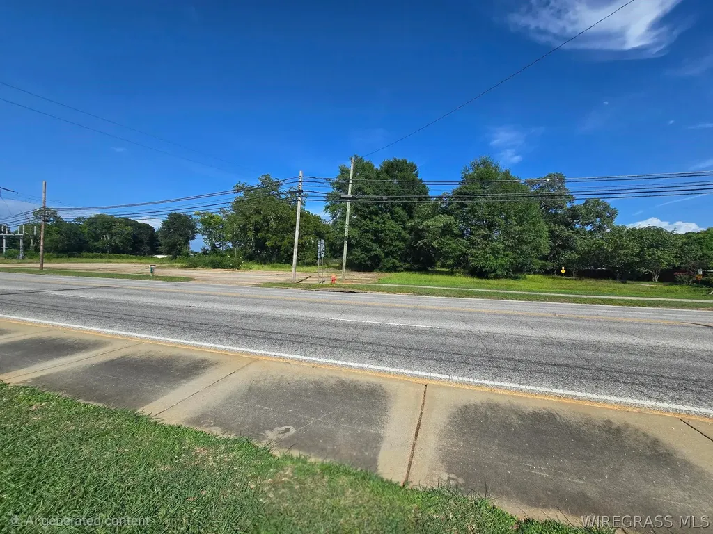 131 S Daleville Avenue Daleville AL 36322