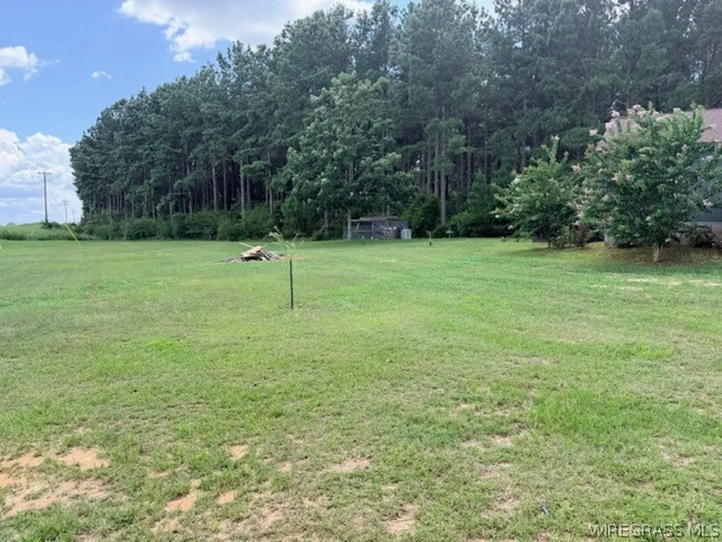 30756 County Road 72 Opp AL 36467