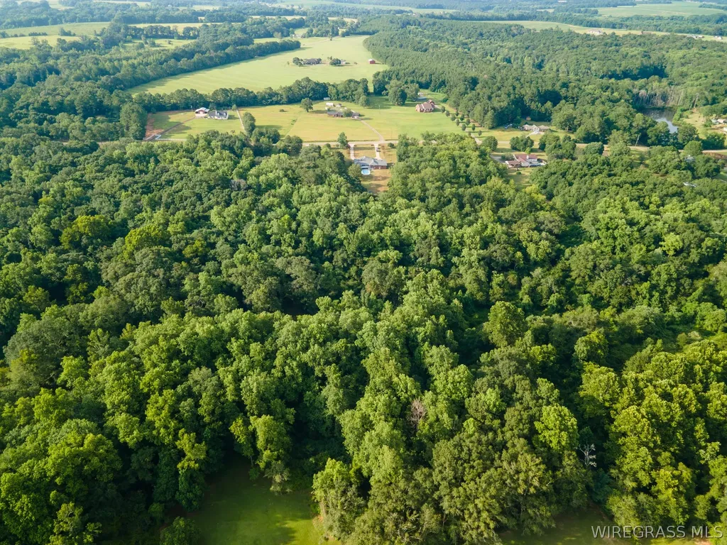 234 County Road 724 Enterprise AL 36330