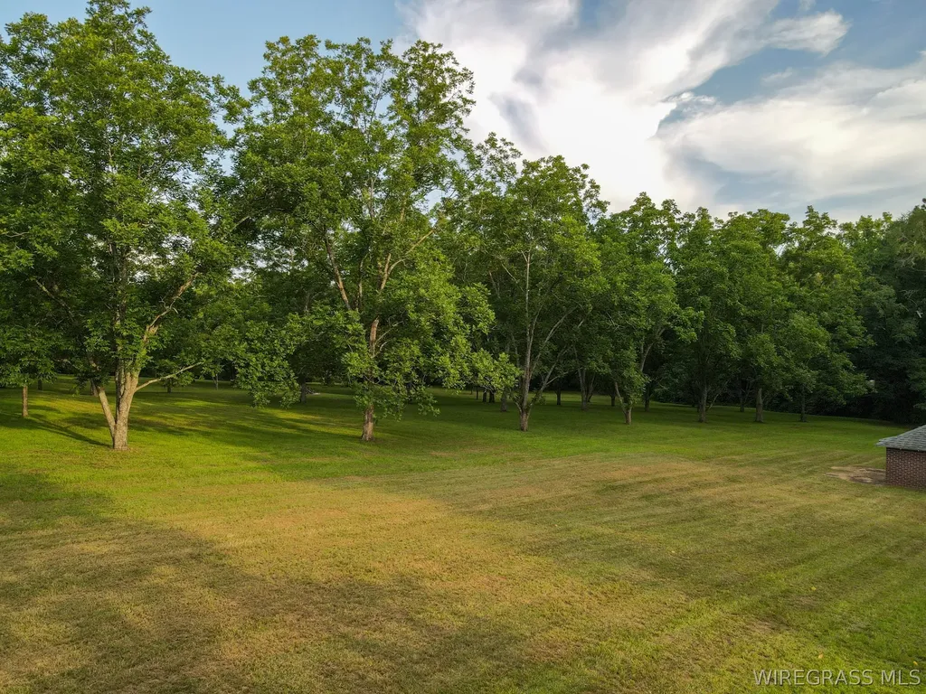 234 County Road 724 Enterprise AL 36330