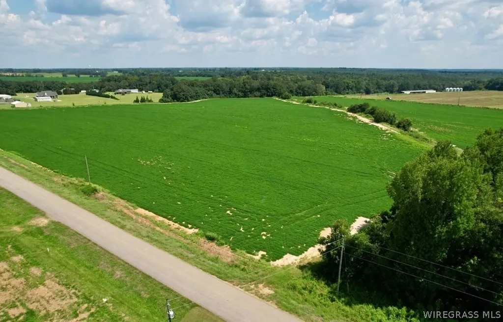 0 Judge Logue Road Newton AL 36352