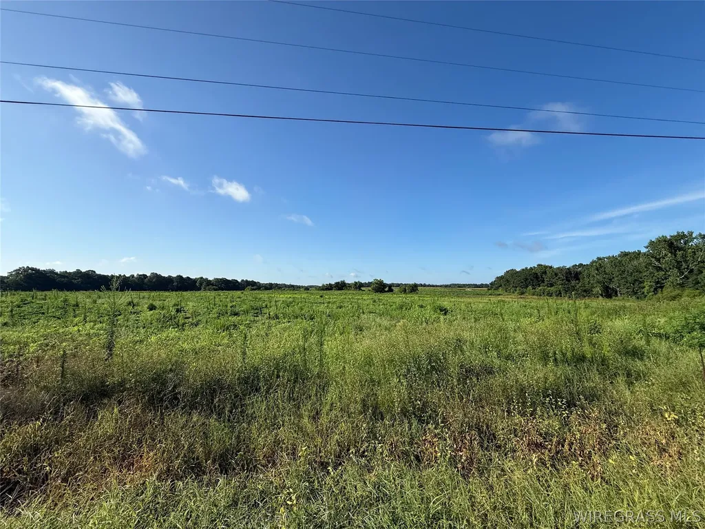 0 Judge Logue Road Newton AL 36352