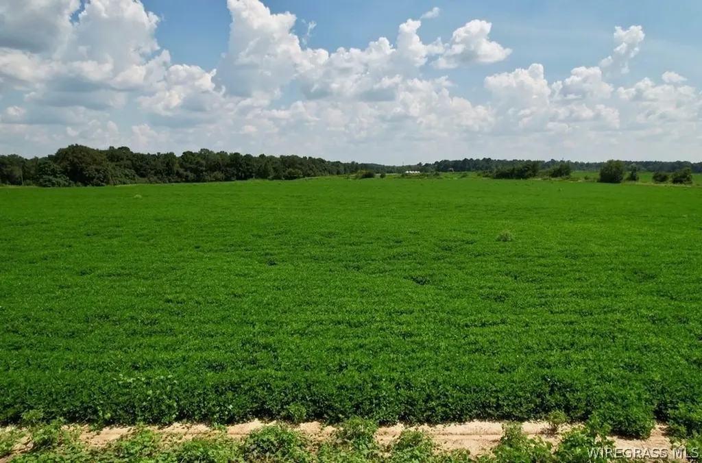 0 Judge Logue Road Newton AL 36352