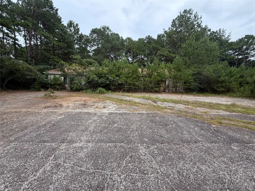 0 Highway 231 S Brundidge AL 36010