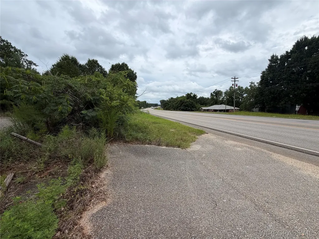 0 Highway 231 S Brundidge AL 36010