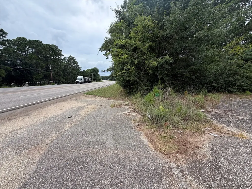 0 Highway 231 S Brundidge AL 36010