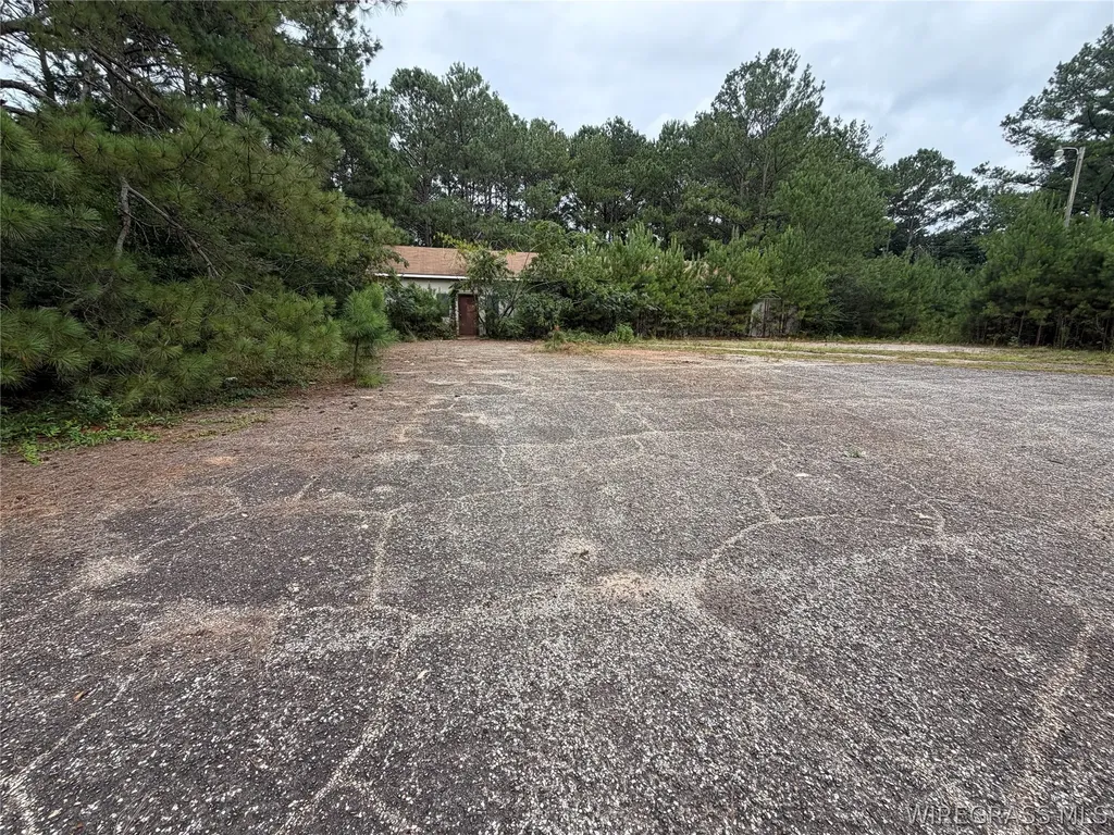 0 Highway 231 S Brundidge AL 36010
