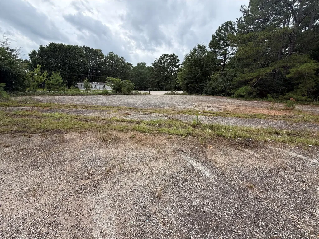 0 Highway 231 S Brundidge AL 36010