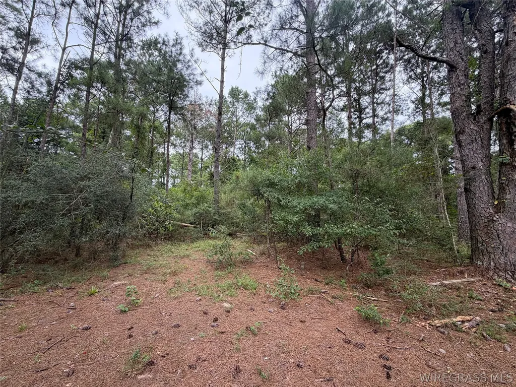 0 Highway 231 S Brundidge AL 36010