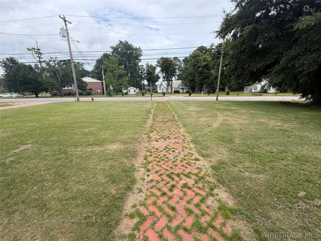 478 S Main Street Brundidge AL 36010