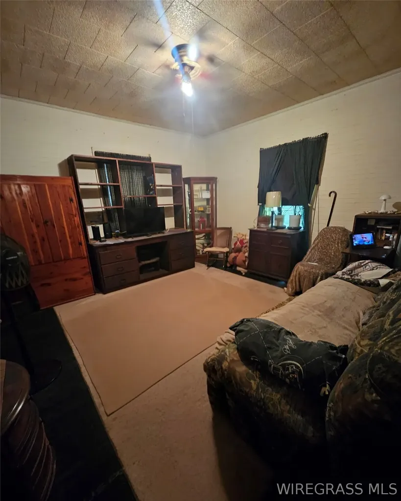 129 E Fleming Avenue Geneva AL 36340