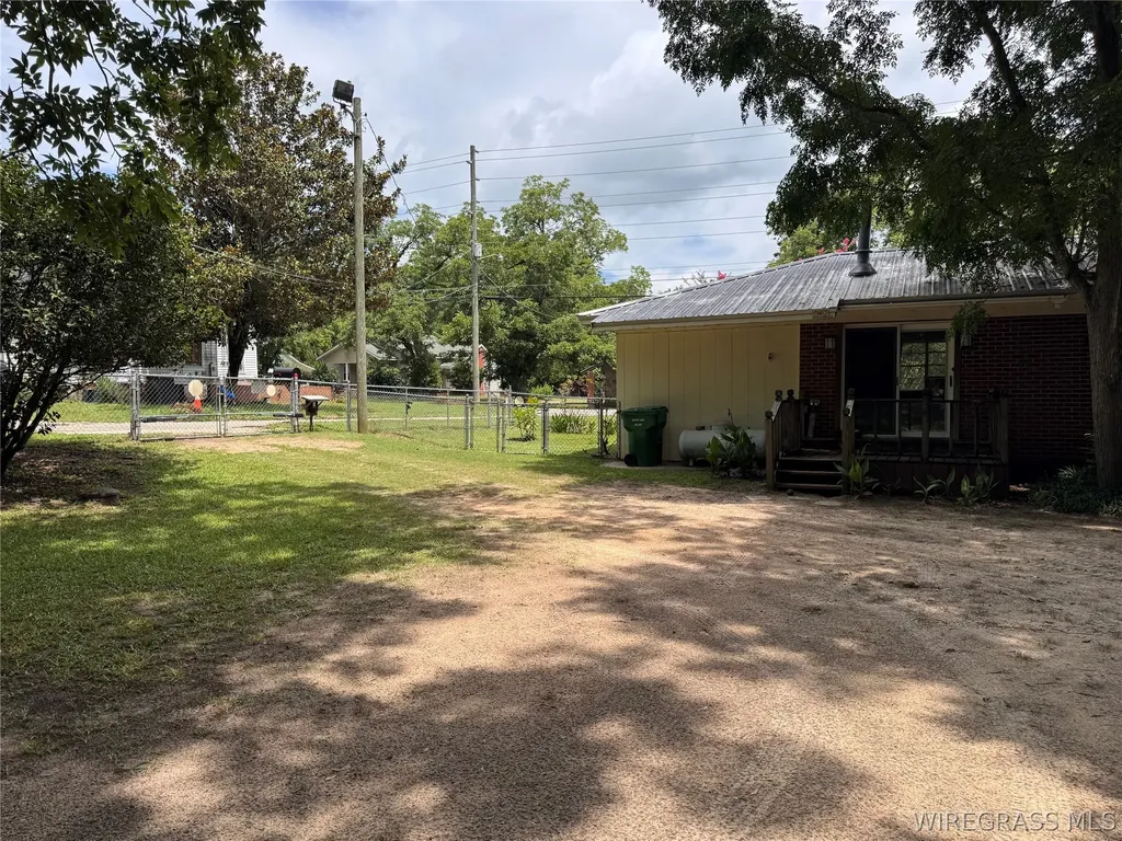 1175 Brundidge Street Clio AL 36017