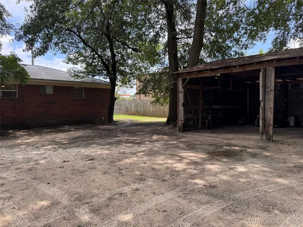 1175 Brundidge Street Clio AL 36017
