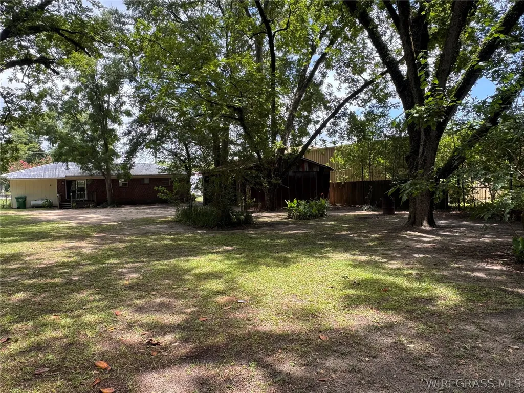 1175 Brundidge Street Clio AL 36017