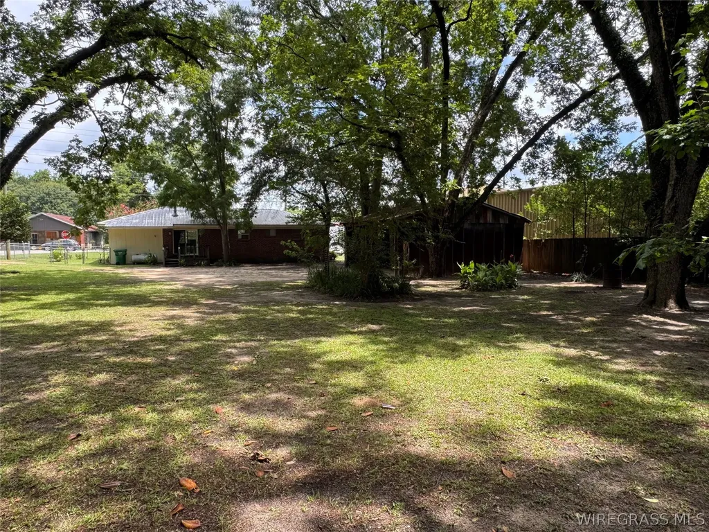 1175 Brundidge Street Clio AL 36017