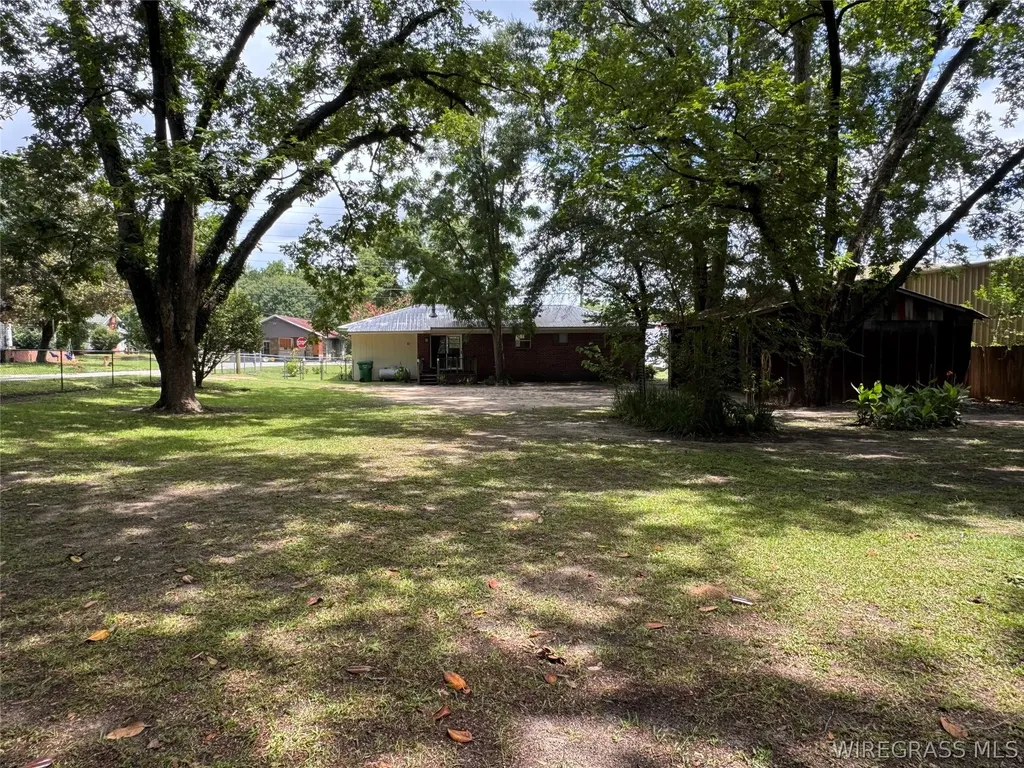 1175 Brundidge Street Clio AL 36017