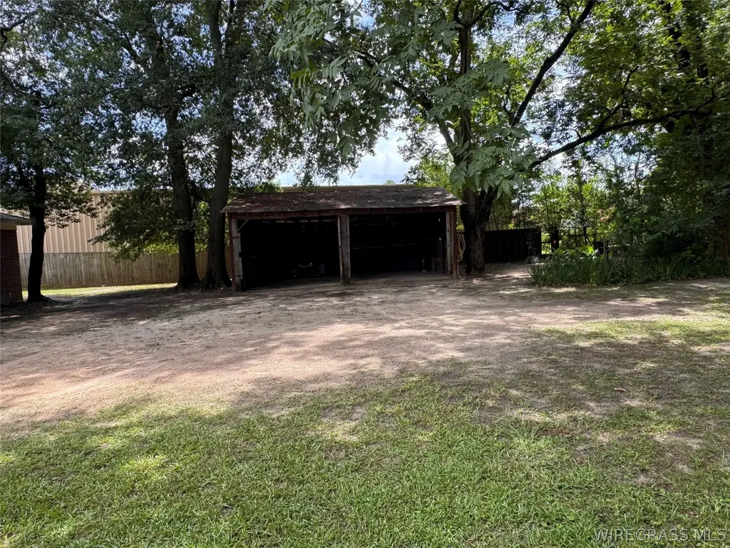 1175 Brundidge Street Clio AL 36017
