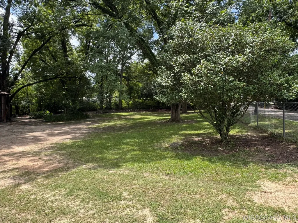 1175 Brundidge Street Clio AL 36017