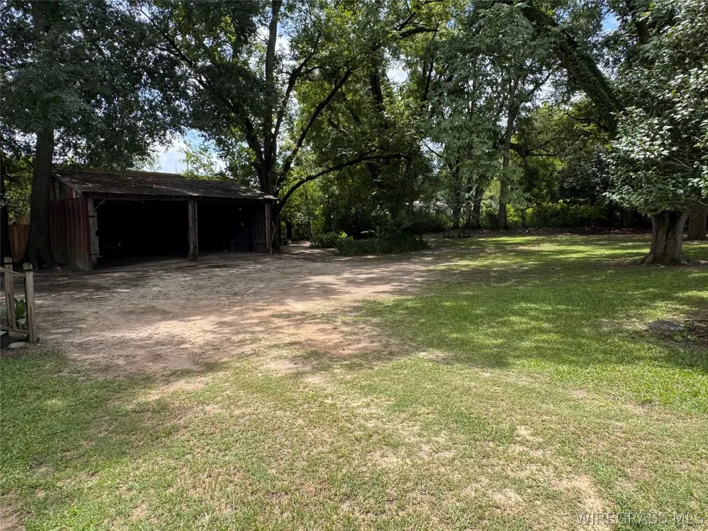1175 Brundidge Street Clio AL 36017