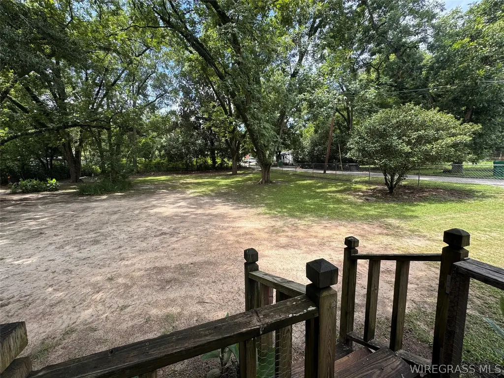 1175 Brundidge Street Clio AL 36017