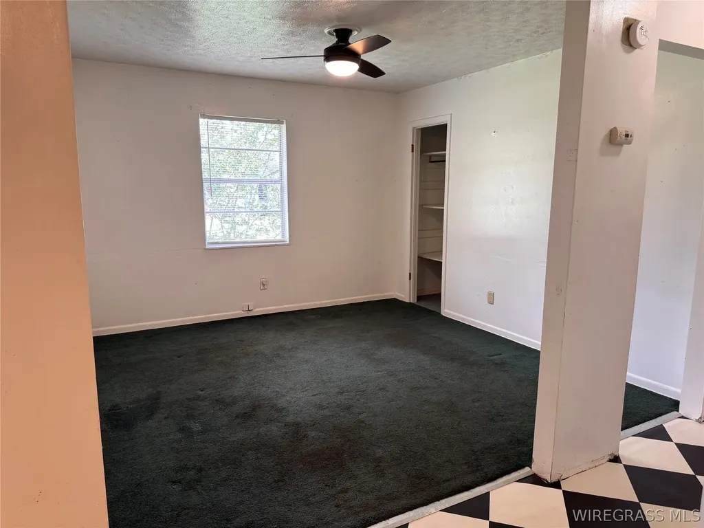 1175 Brundidge Street Clio AL 36017