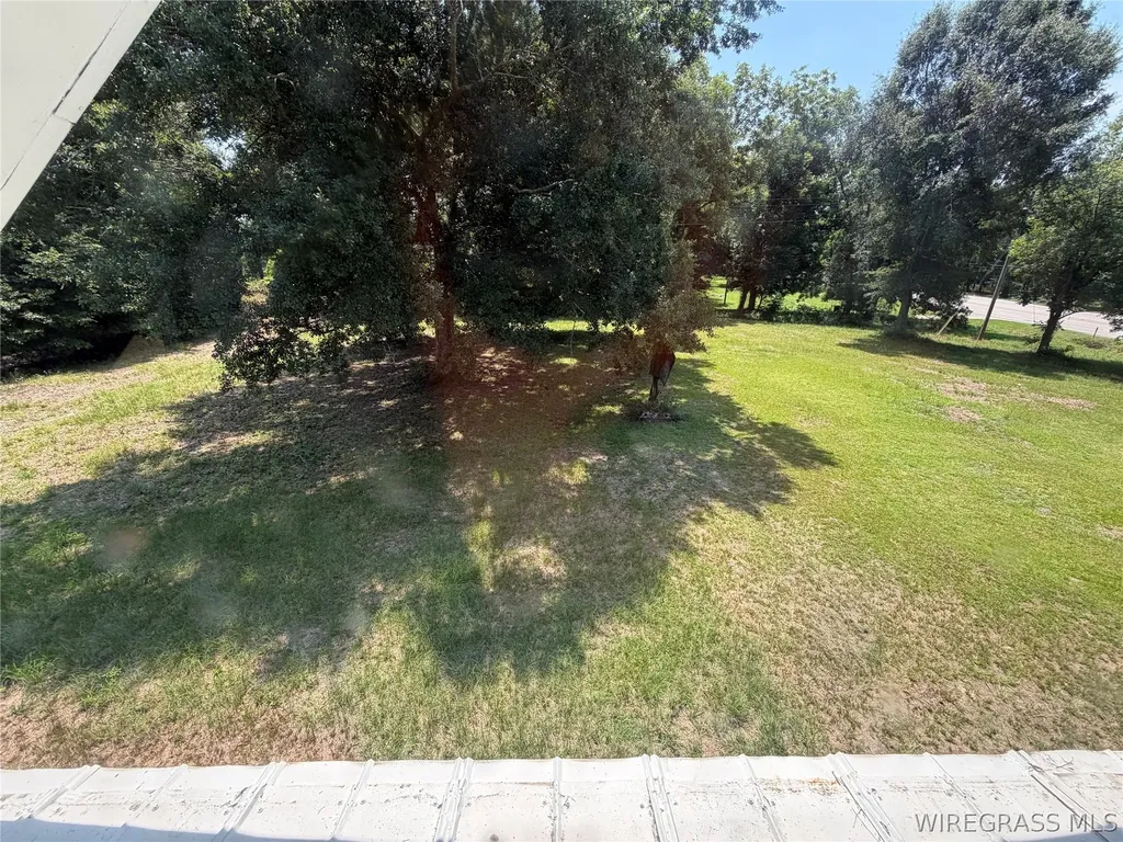3514 Highway 231 S Brundidge AL 36010