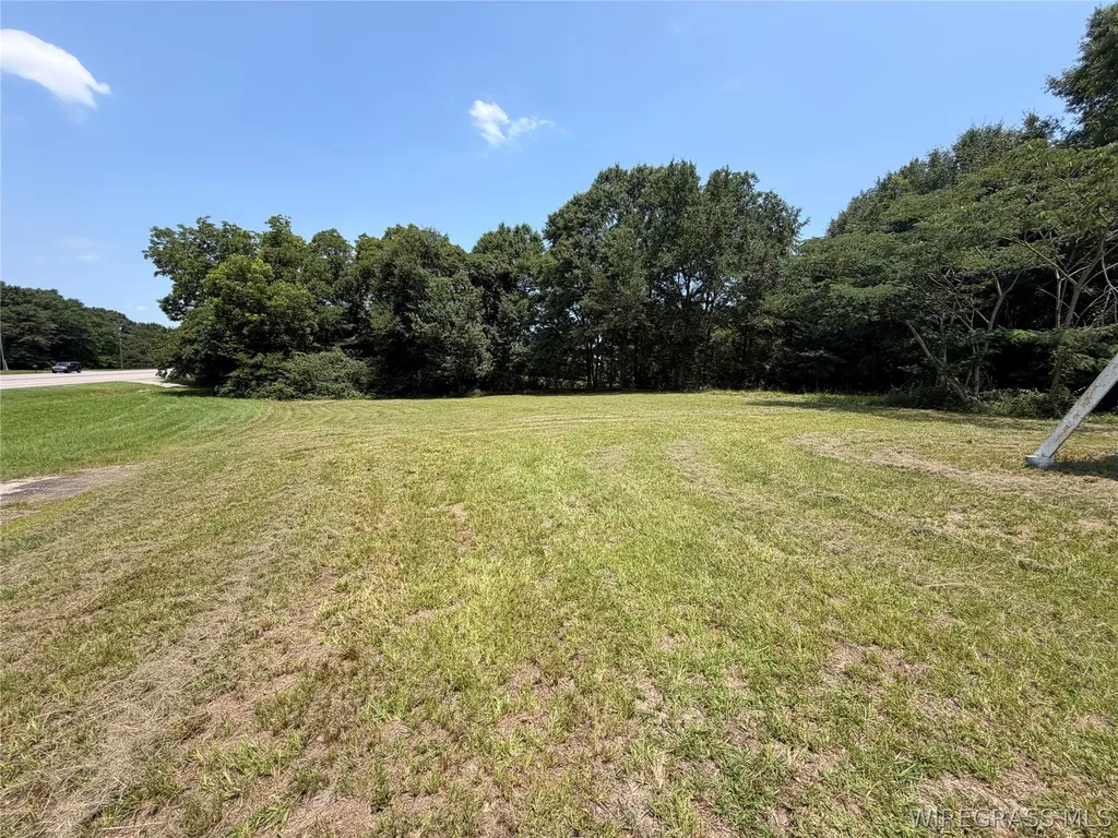 3514 Highway 231 S Brundidge AL 36010