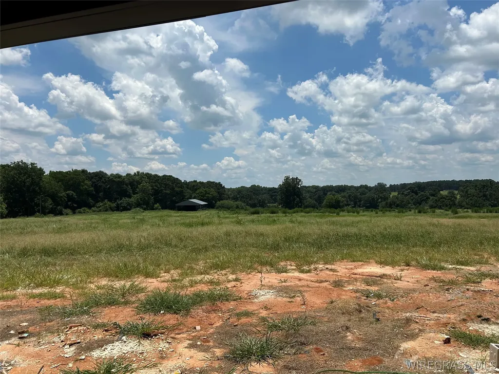 554 County Road 711 Road Enterprise AL 36330