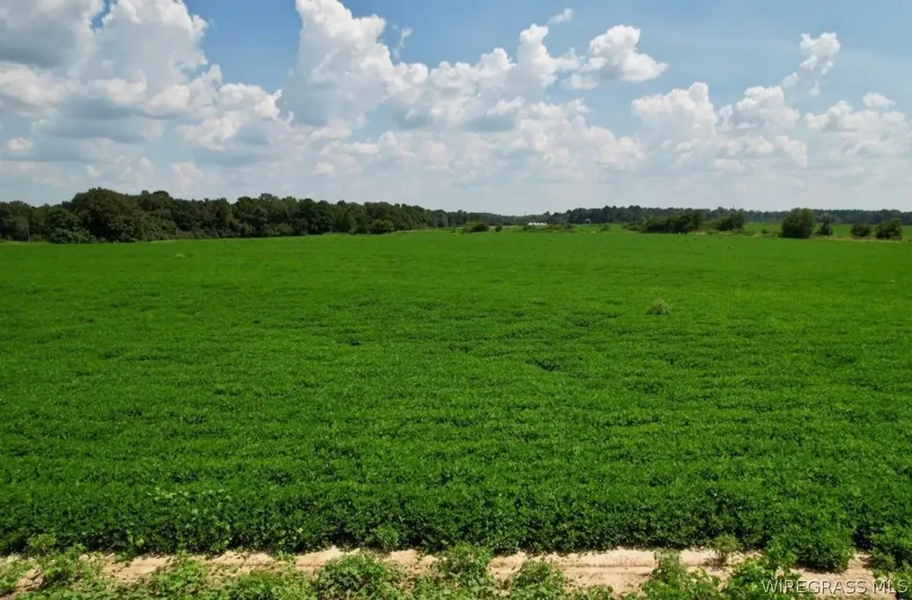 0 Judge Logue Road Newton AL 36352