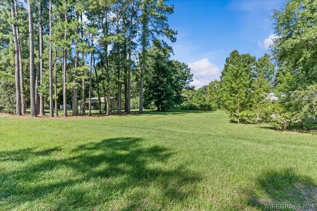 20389 W State Highway 52 Kinston AL 36453