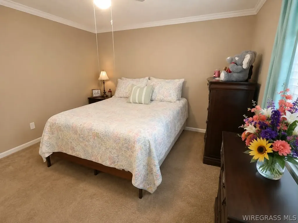 1123 Forest Lake Drive Elba AL 36323