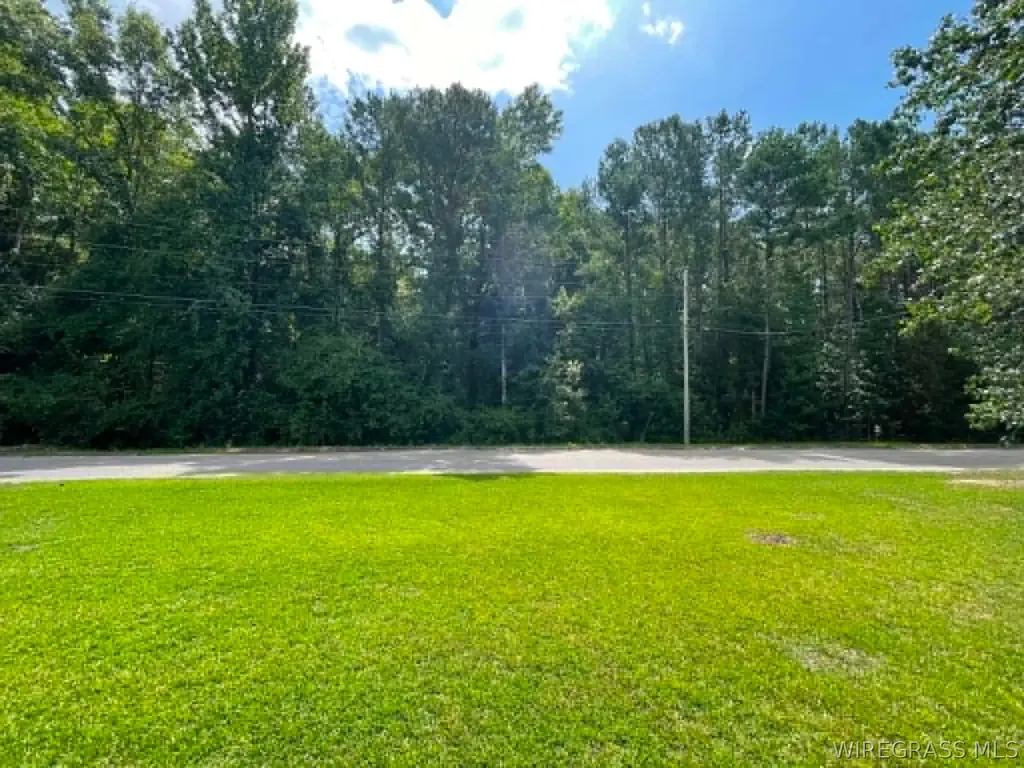 1123 Forest Lake Drive Elba AL 36323