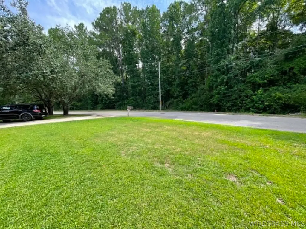1123 Forest Lake Drive Elba AL 36323