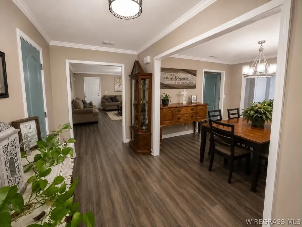 1123 Forest Lake Drive Elba AL 36323