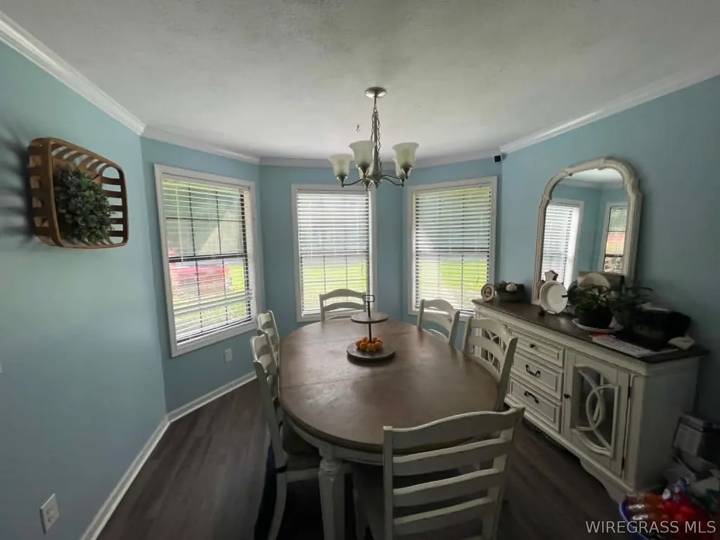 1123 Forest Lake Drive Elba AL 36323