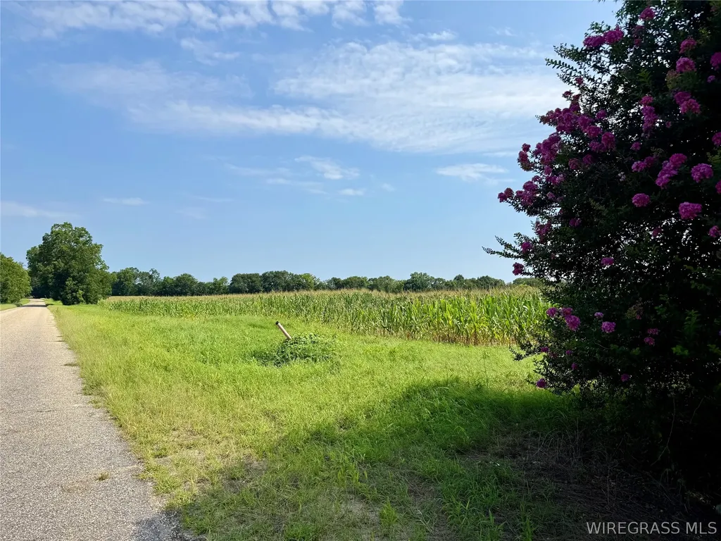 3 Liberty Road AL 36370
