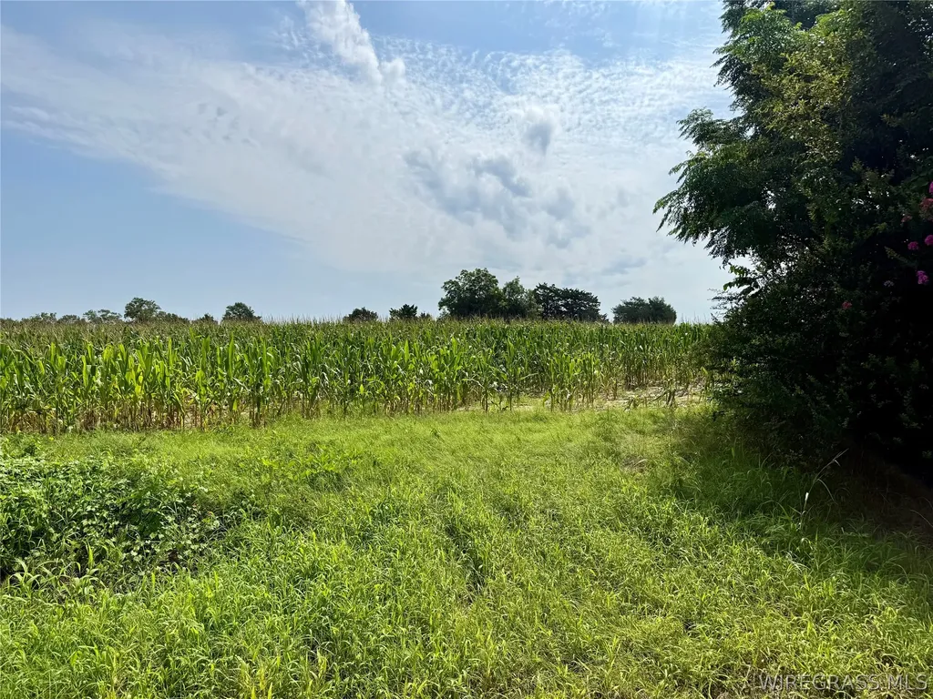 3 Liberty Road AL 36370