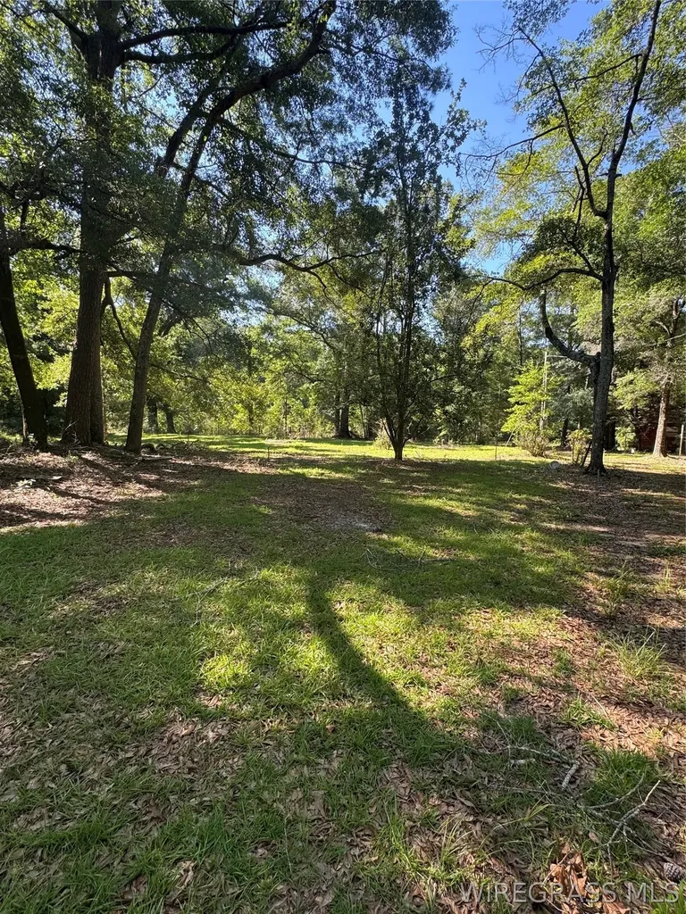 20680 Collie Road Andalusia AL 36421