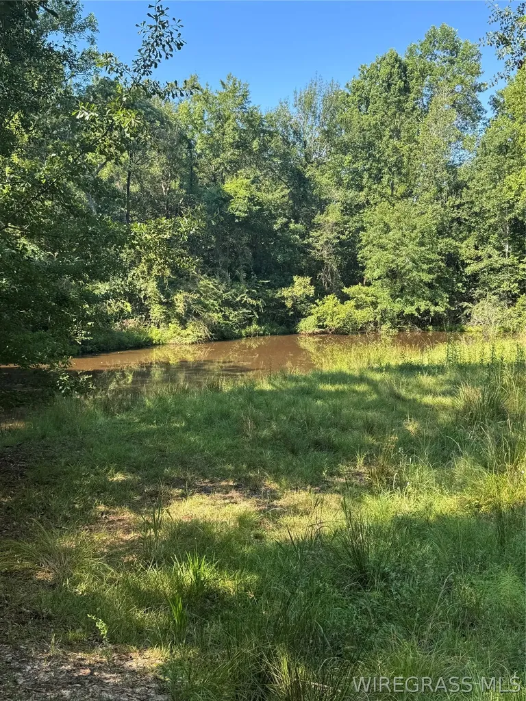 20680 Collie Road Andalusia AL 36421